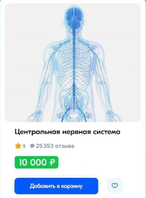 Центральная нервная система в корзину