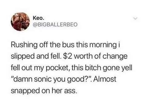 Sonic Fell Out of Her Pocket