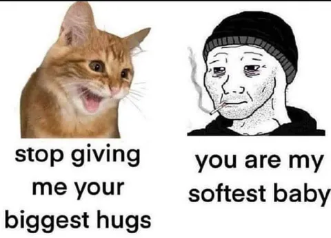 Cat Demands Bigger Hugs