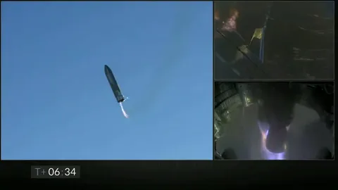 Starship взлетел и взорвался