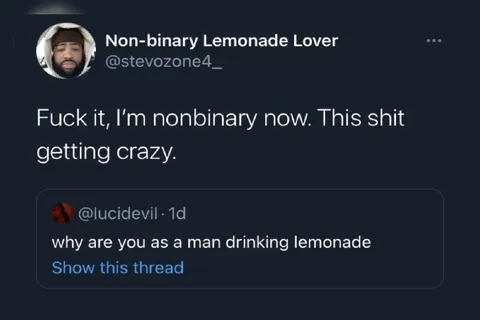 Nonbinary Lemonade Lover