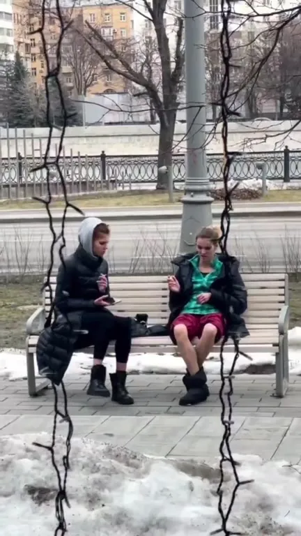Лебединое озеро на скамейке
