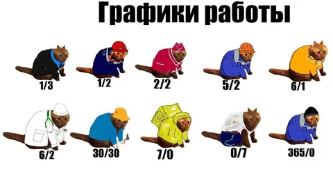 Графики работы котов