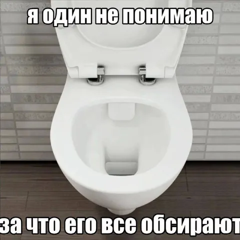 Унитаз, который никто не понимает