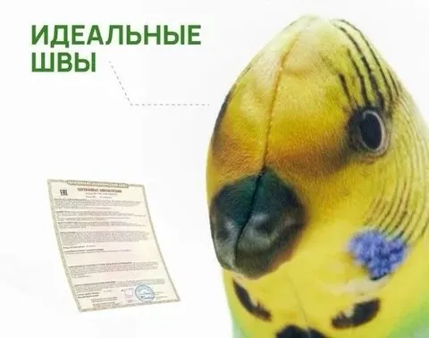 Идеальные швы у попугая