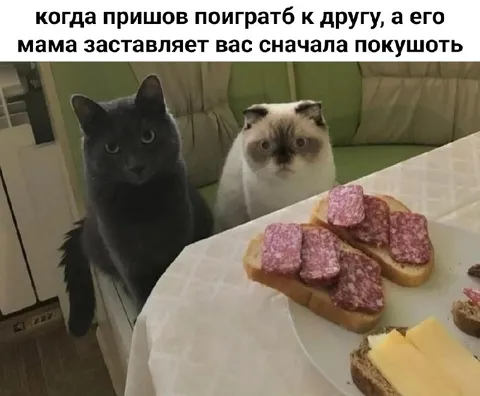 Мама заставляет сначала покушать