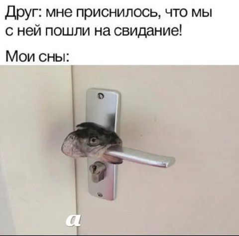 Сон про рыбу на двери