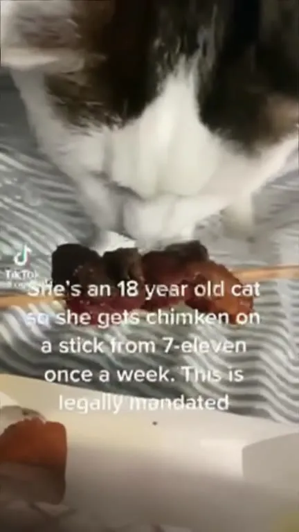 Legally Mandated Chimken Stick
