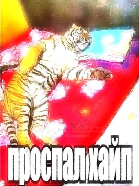 Проспал всё на свете