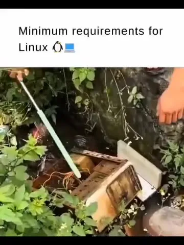 Minimum Requirements for Linux
