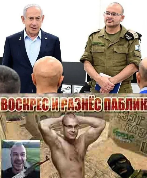 Восьмерые разные павлины