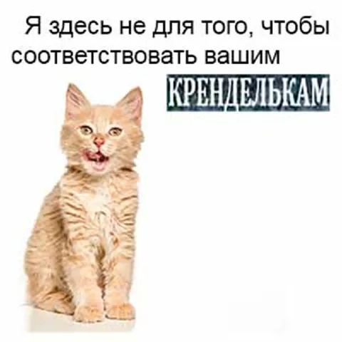 Не соответствую вашим кренделькам