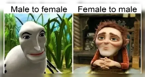 Male to Female Transformation