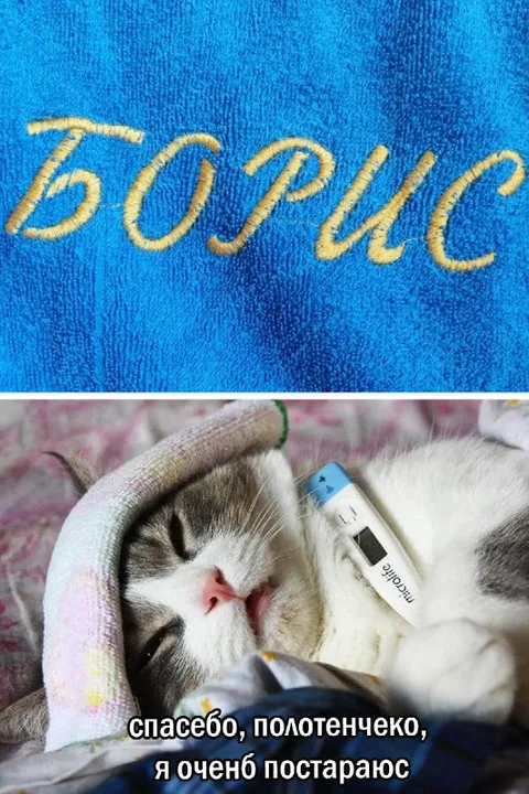 Кот Борис благодарит полотенечко