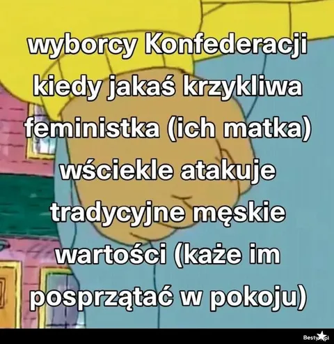 Wyborcy Konfederacji i sprzątanie