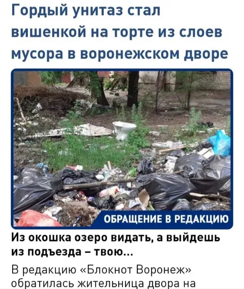 Гордый унитаз среди мусора