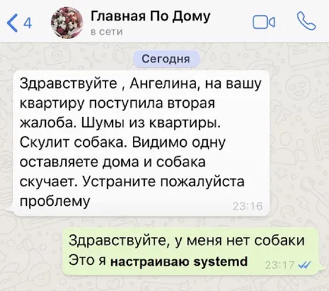 Я настраиваю systemd