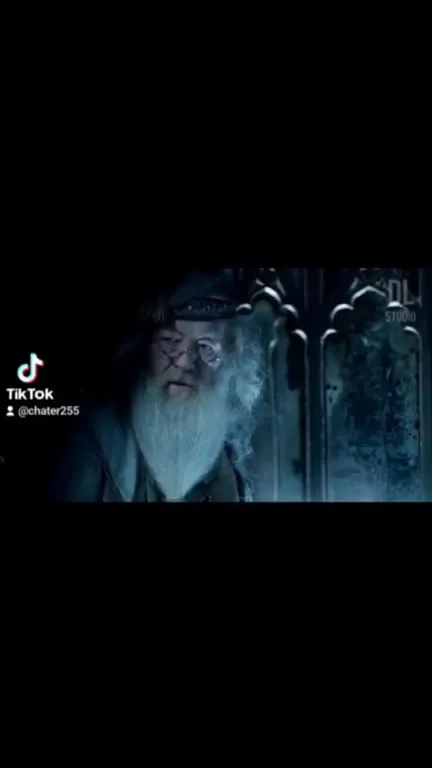 Гарри на слушании Визенгамота