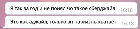 Сберджайл на год