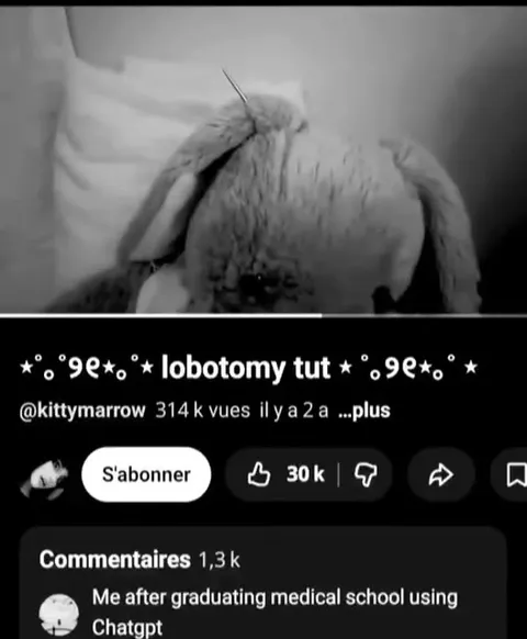 Lobotomy Bunny After Medical School
