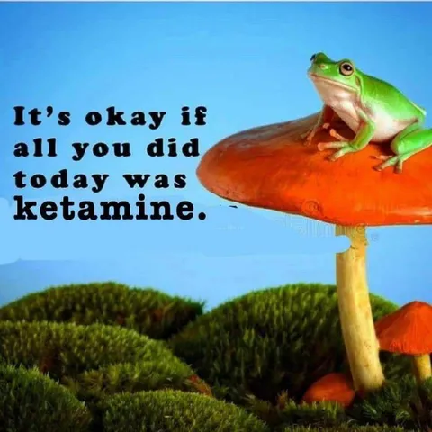 Frog Says It’s Okay