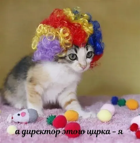А директор этого цирка — я
