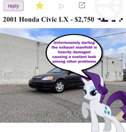 Rarity Sells a Damaged Honda