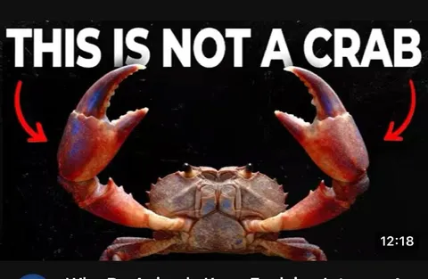 This Is Not a Crab