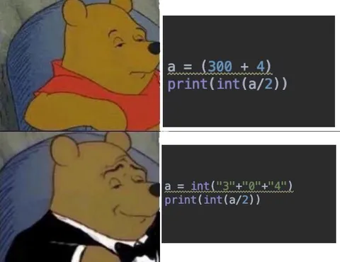 Pooh Explains Python Integer Division