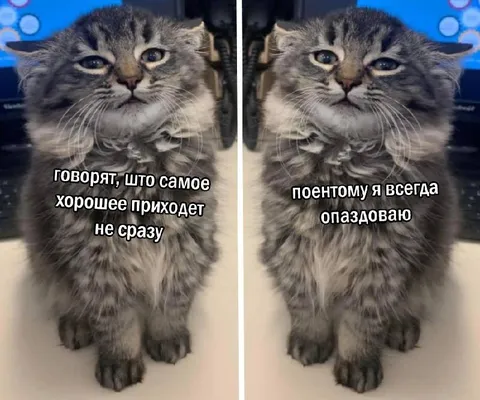 Самое хорошее приходит не сразу
