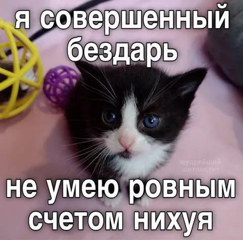 Совершенный бездарь без счёта