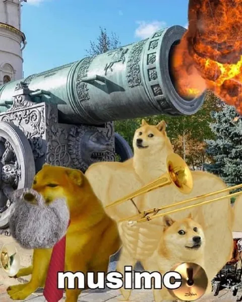 Doge Cannon Music Band