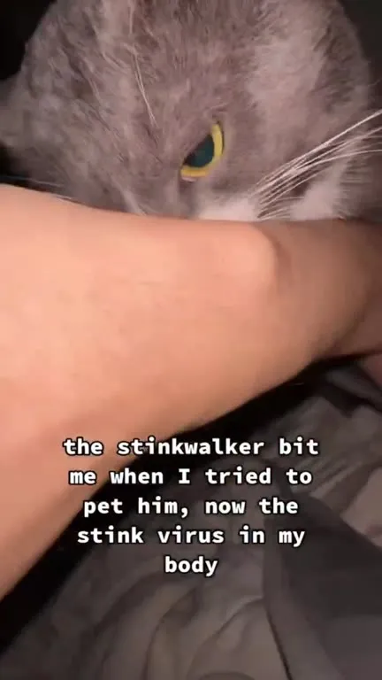 The Stink Virus Cat