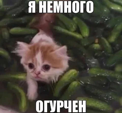 Немного огурчен