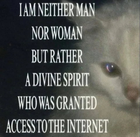 Divine Spirit Internet Access