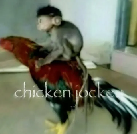Chicken Jockey Monkey Ride