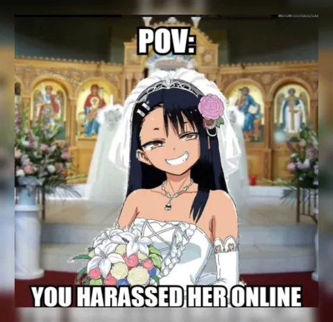 You Harassed Her Online