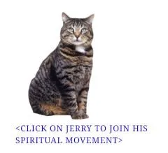 Jerry Spiritual Movement Cat