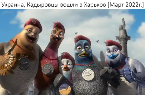 Кадыровцы вошли в Харьков