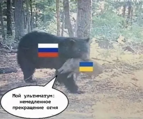 Мой ультиматум: прекращение огня