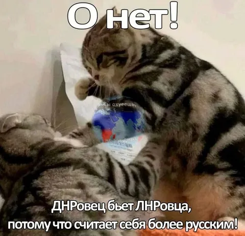 ДНРовец бьет ЛНРовца