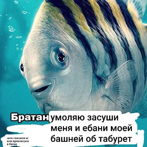 Рыба просит засушить её