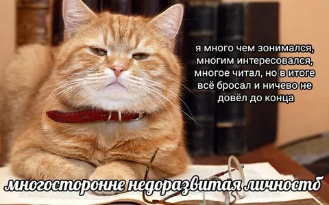 Многогранная недоразвитая личность