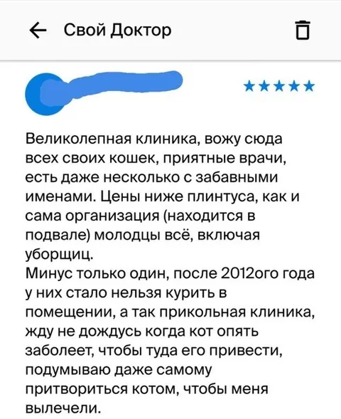Отзыв о клинике для кошек