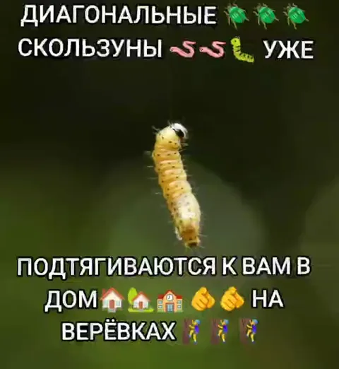 Гусеница тянется к дому