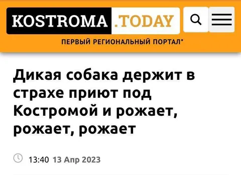 Собака ро́жет под Костромой