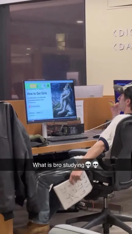What Is Bro Studying?