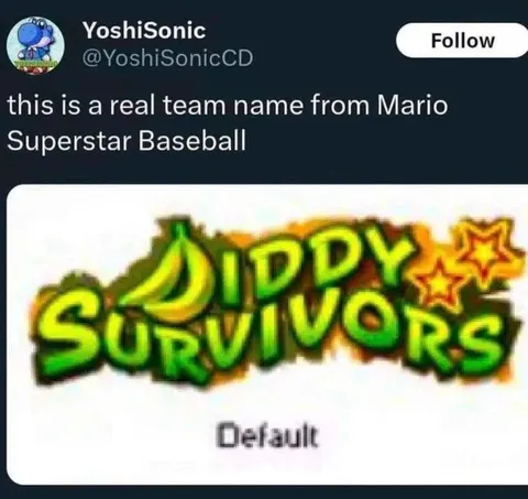 Dippy Survivors Team Name