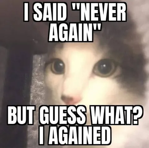 I Agained Again Cat