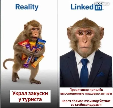 Обезьяна на Reality и LinkedIn